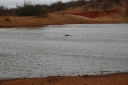 afrika2008_129.JPG
