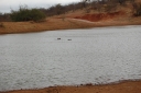 afrika2008_132.JPG