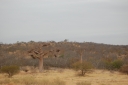 afrika2008_136.JPG