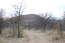 afrika2008_137.JPG