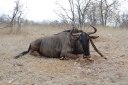 afrika2008_139.JPG
