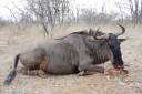 afrika2008_141.JPG