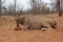 afrika2008_151~0.JPG