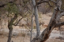 afrika2008_162.JPG