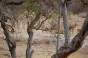 afrika2008_163.JPG